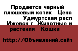 Продается черный плюшевый котик › Цена ­ 7 000 - Удмуртская респ., Ижевск г. Животные и растения » Кошки   